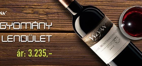 Vylyan Villányi Montenouvo Cuvée 2012