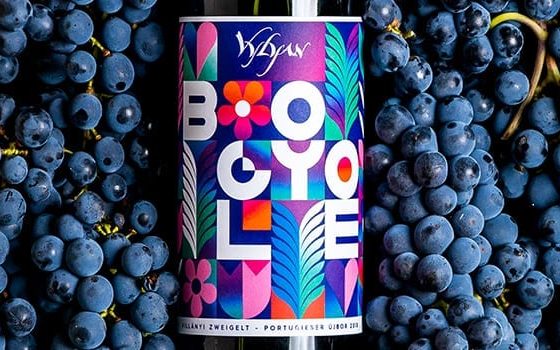 Vylyan Bogyólé 2018