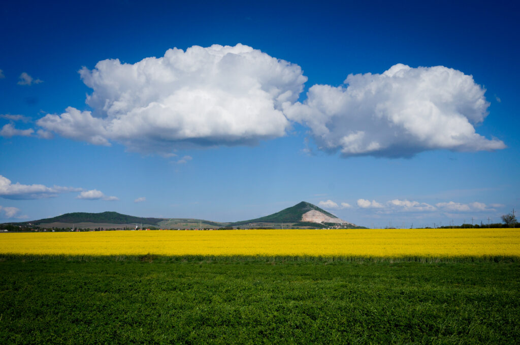 Repcemező bárányfelhőkkel Kisharsányban a Villányi borviéken nyáron.