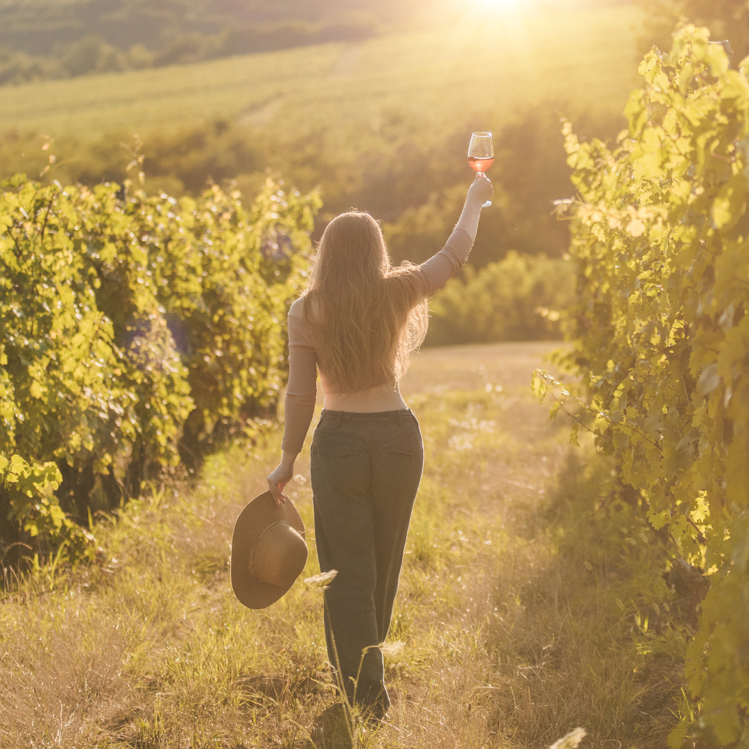 Egy pohár vörösbort a magasba tartó lány sétál a Vylyan birtok szőlősorai között a naplementében nyáron.