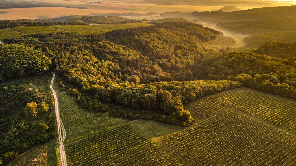 A Vylyan PIncészet birtoka 2020 őszén drónfelvételről 