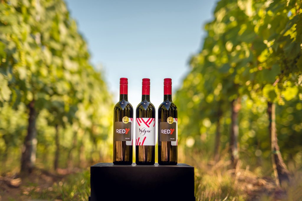 Vylyan REDy palaskok sorakoznak a Vylyan PIncészet szőlősorai között Kisharsányban. 