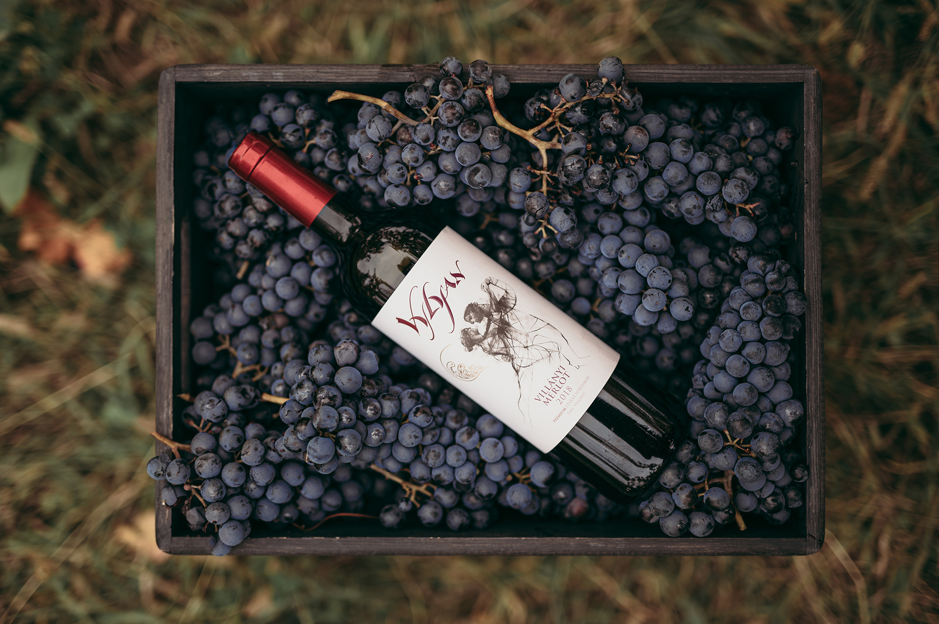 Vylyan Merlot 2018